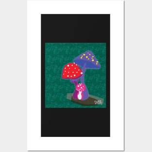 Amanita muscaria fly agaric Posters and Art